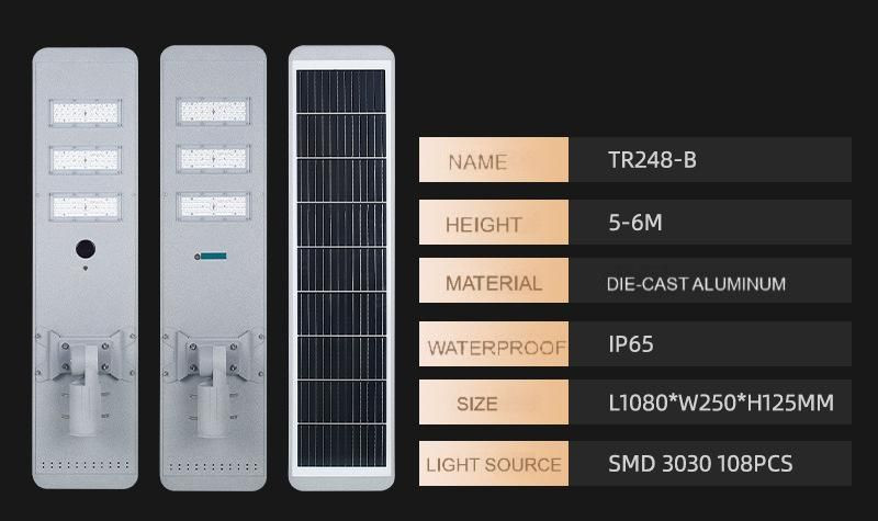 Outdoor Solar Lights Super Bright Rotatable Module 80w 100w Module Design Solar Street Light